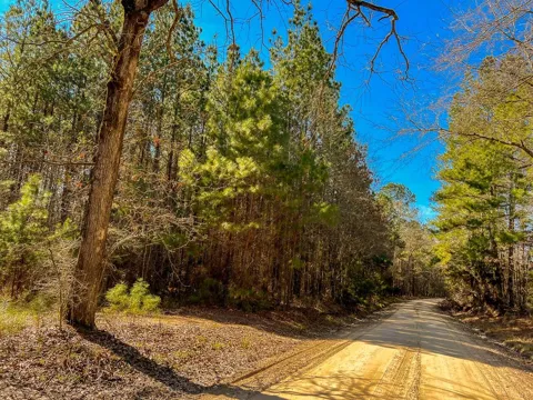 6 Union Springs Road