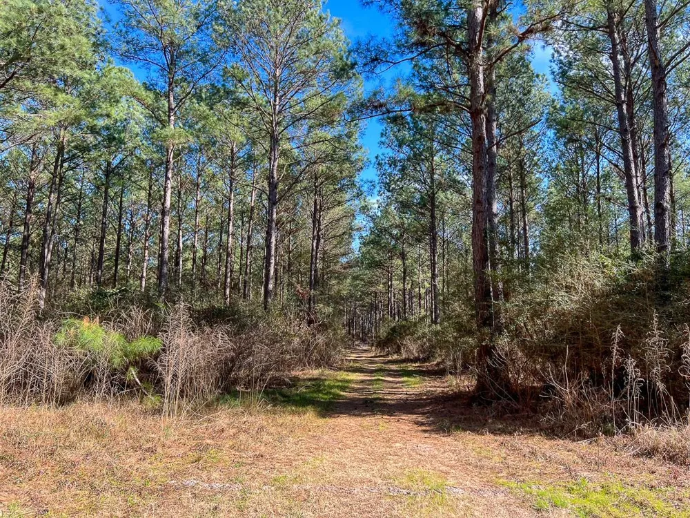 6 Union Springs Road Corrigan, TX 75939