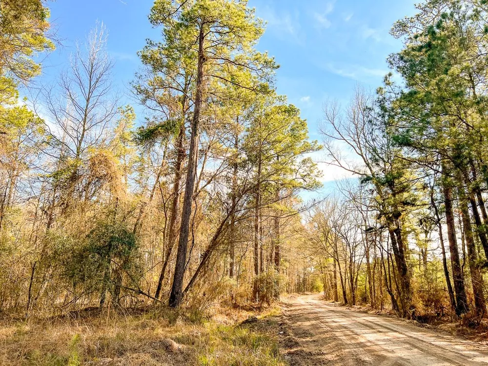 6 Union Springs Road Corrigan, TX 75939