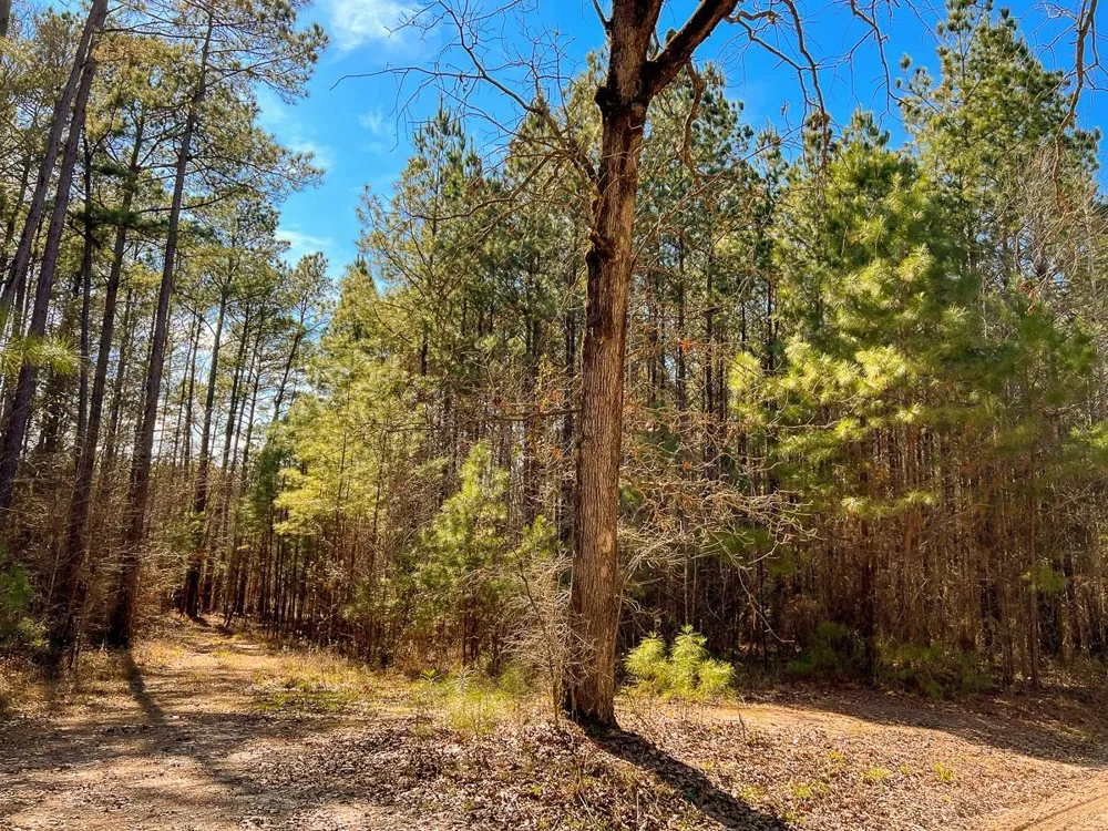 6 Union Springs Road Corrigan, TX 75939