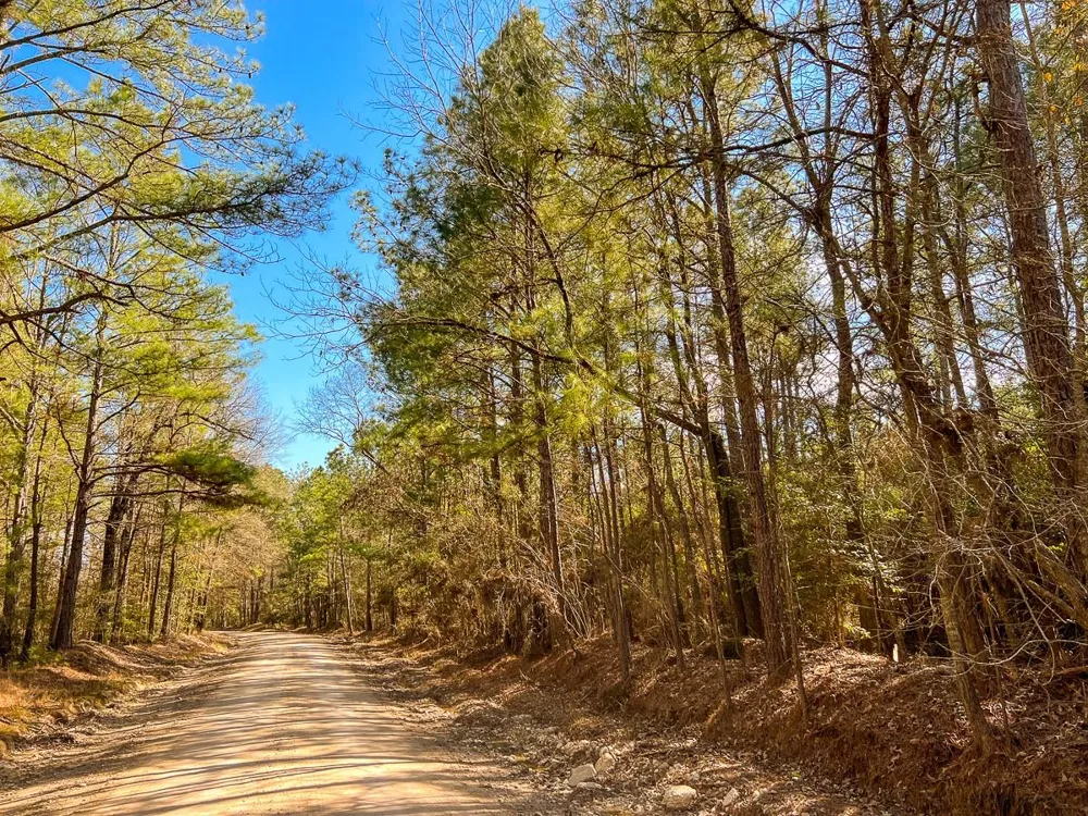 6 Union Springs Road Corrigan, TX 75939