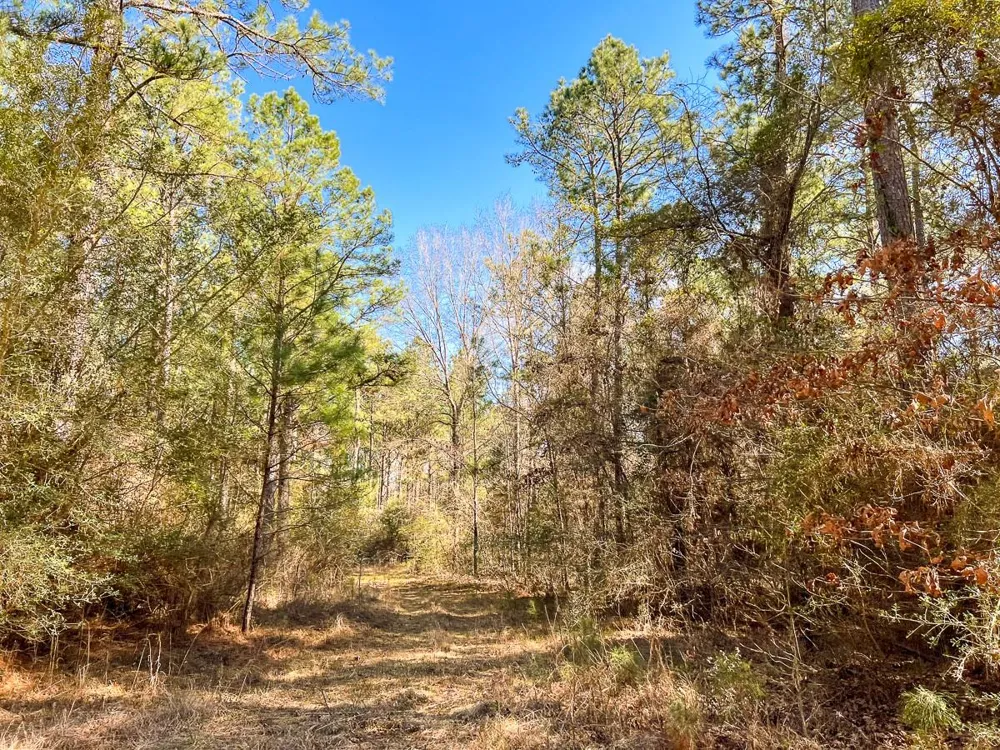6 Union Springs Road Corrigan, TX 75939