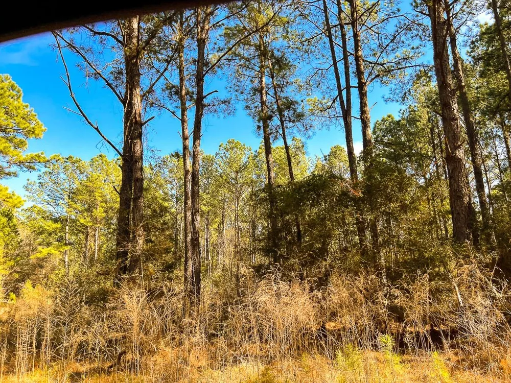6 Union Springs Road Corrigan, TX 75939