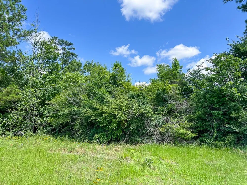 12 Rec Road 255 Colmesneil, TX 75938