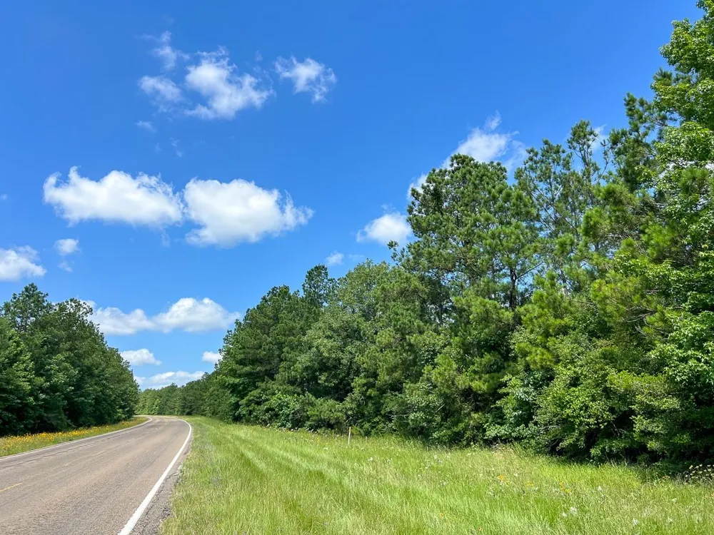 12 Rec Road 255 Colmesneil, TX 75938