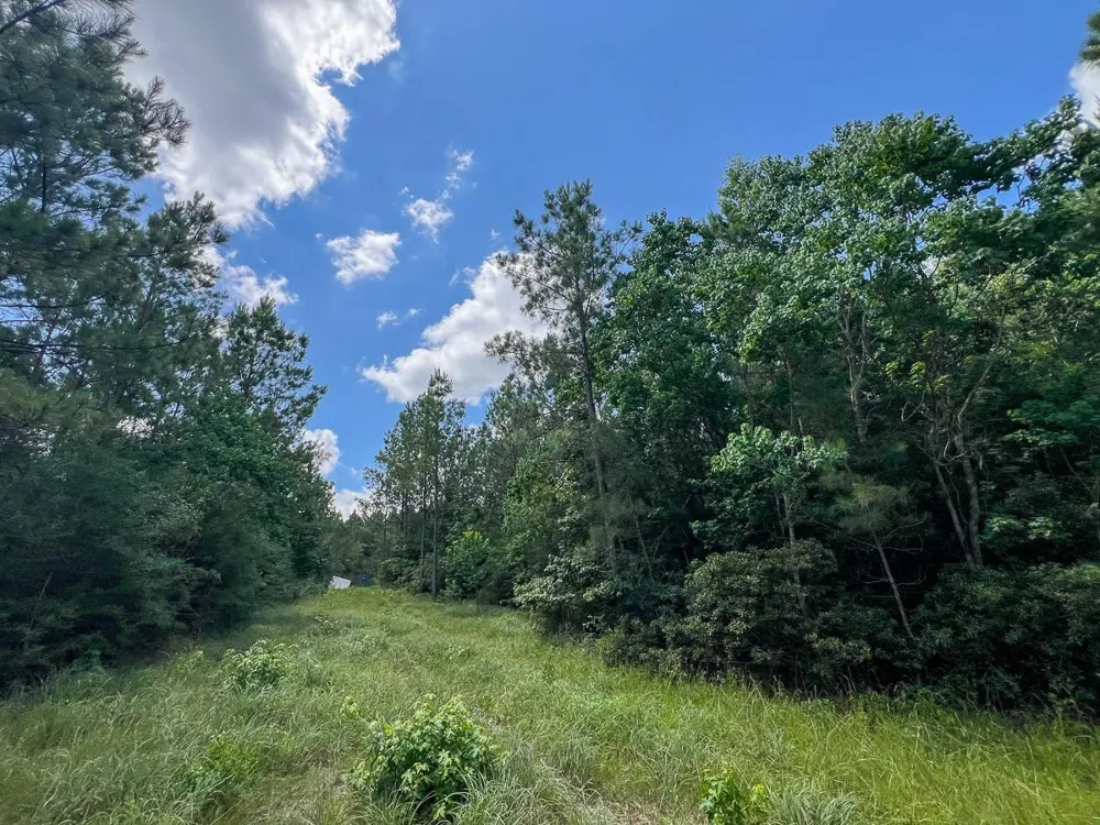 12 Rec Road 255 Colmesneil, TX 75938