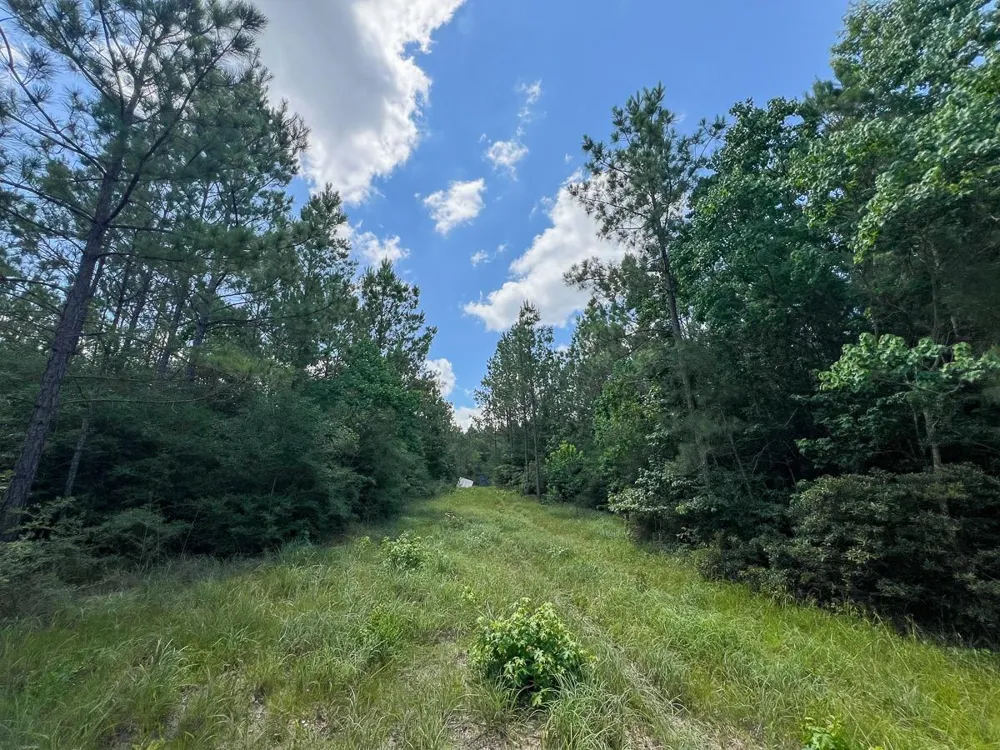 12 Rec Road 255 Colmesneil, TX 75938