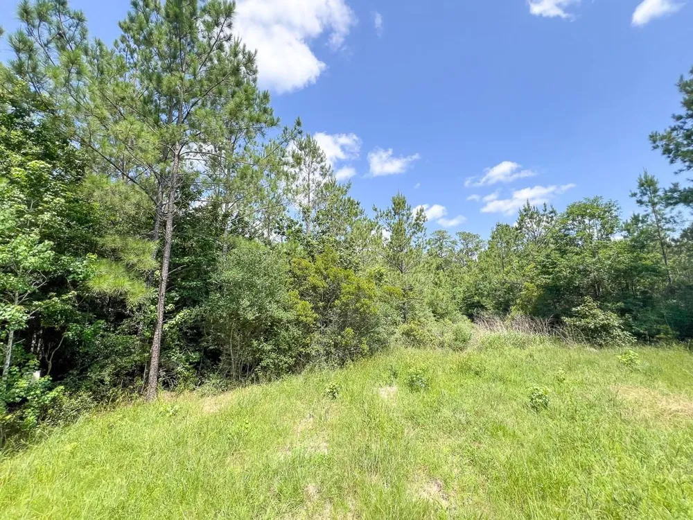 13 Rec Road 255 Colmesneil, TX 75938