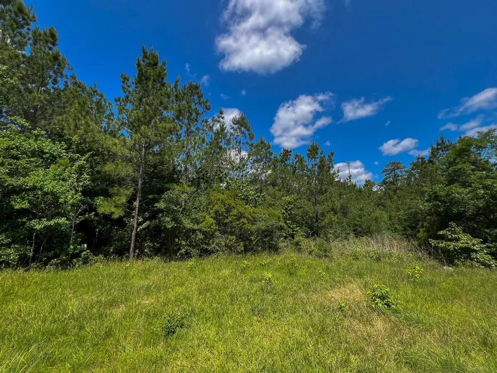 13 Rec Road 255 Colmesneil, TX 75938