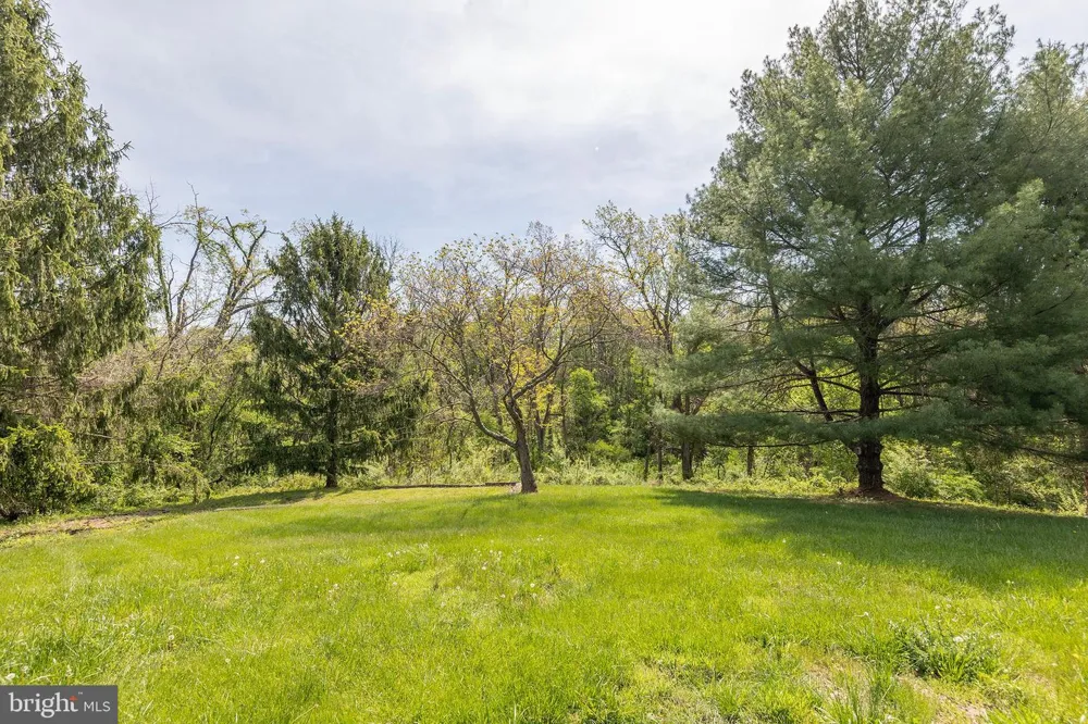 405 SPRING HOLLOW ROAD Woodstock, VA 22664