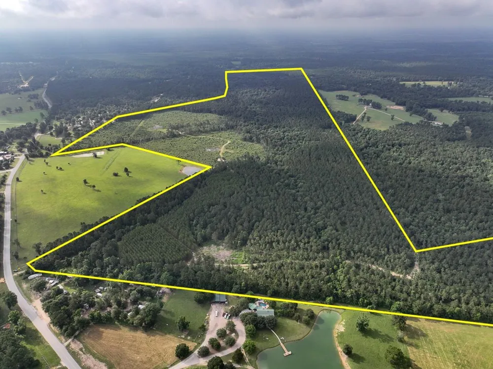 Fm 1725 Willis, TX 77378