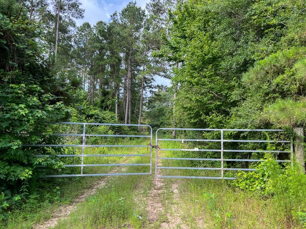 Fm 1725 Willis, TX 77378