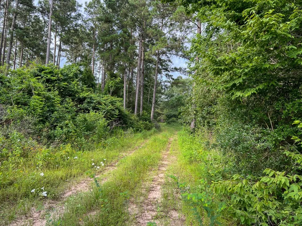 Fm 1725 Willis, TX 77378
