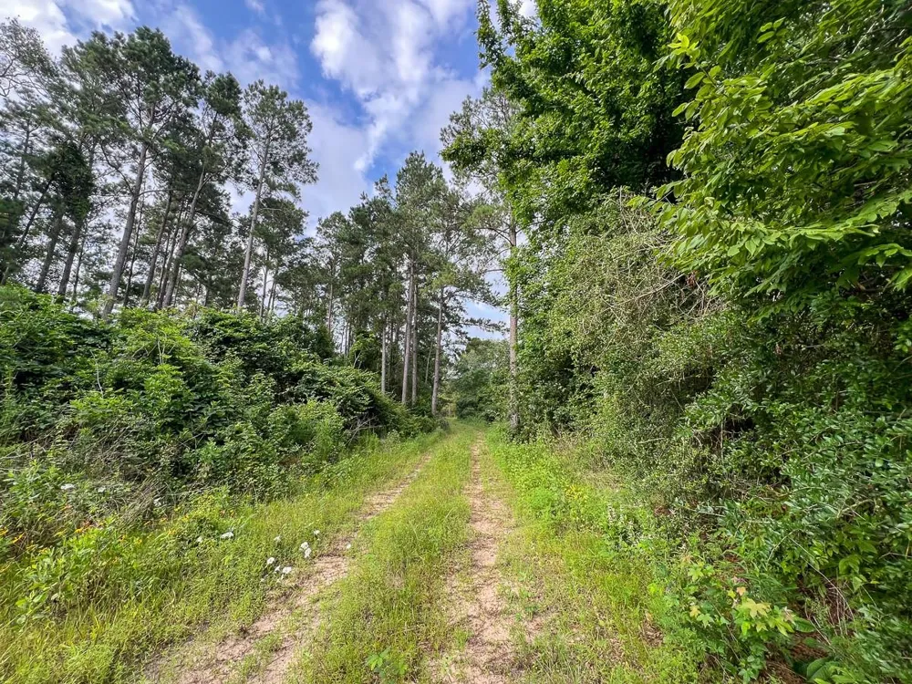 Fm 1725 Willis, TX 77378