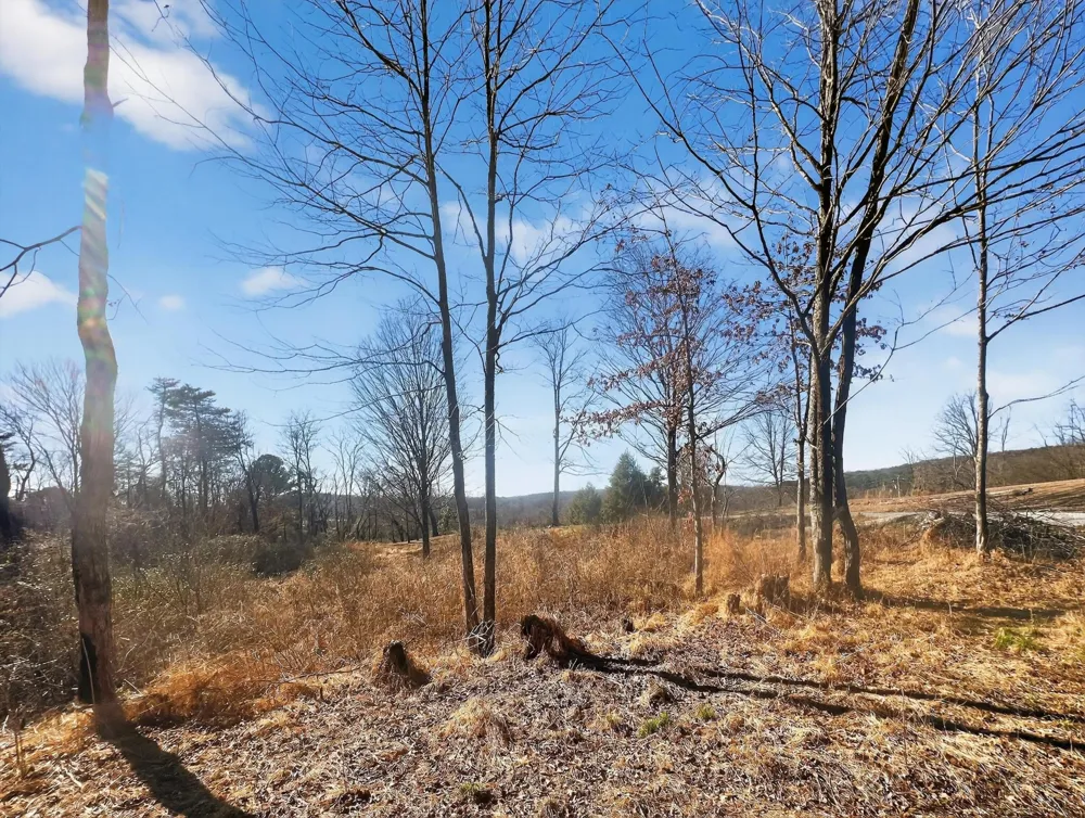 56 11th Street Tracy City, TN 37387