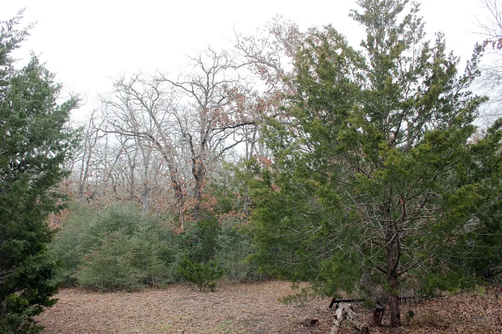 8729 E Fm 20 Highway Dale, TX 78616