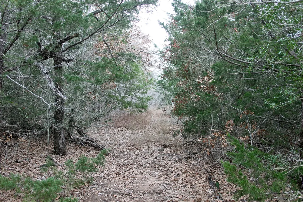 8729 E Fm 20 Highway Dale, TX 78616