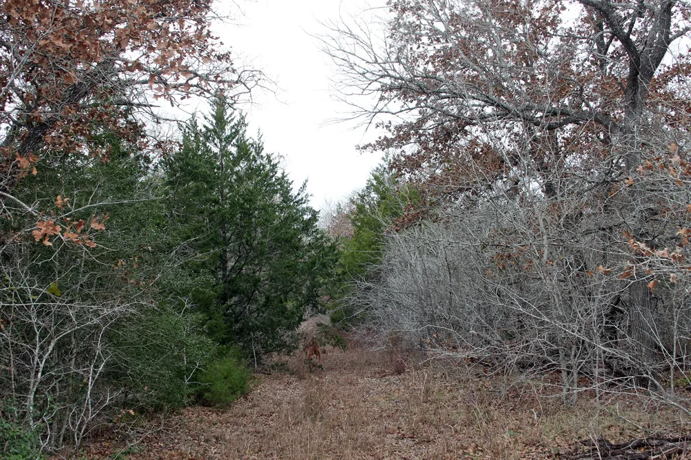 8729 E Fm 20 Highway Dale, TX 78616