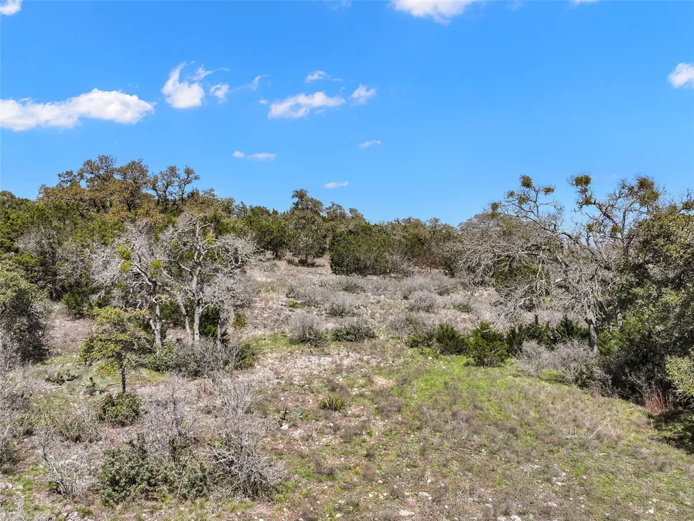 198 Lily Street Spring Branch, TX 78070