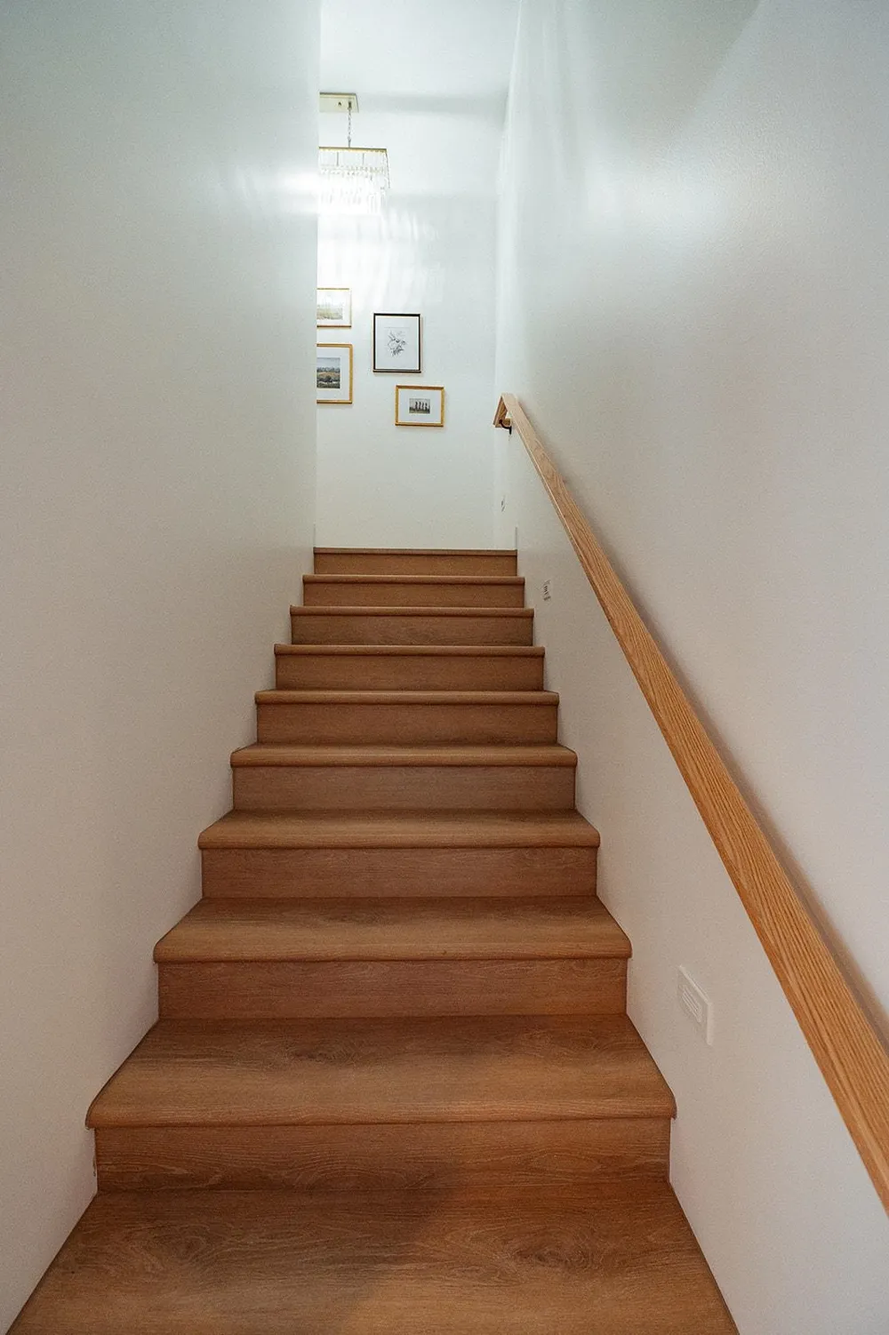 6707 Huntsman Drive Acme Township, MI 49690