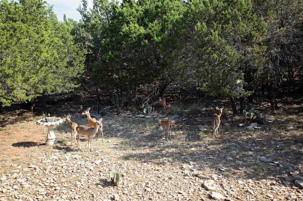 880 Cliffs Drive Possum Kingdom Lake, TX 76449