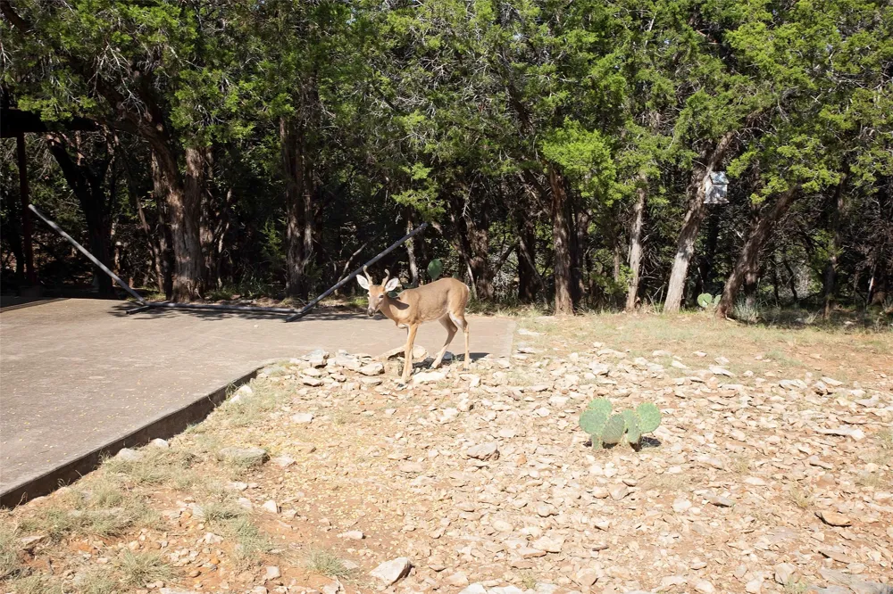880 Cliffs Drive Possum Kingdom Lake, TX 76449