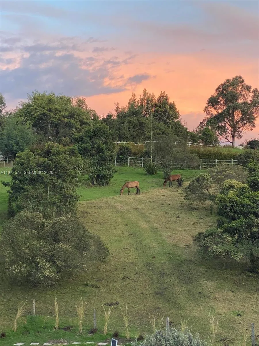 Vereda Altania 