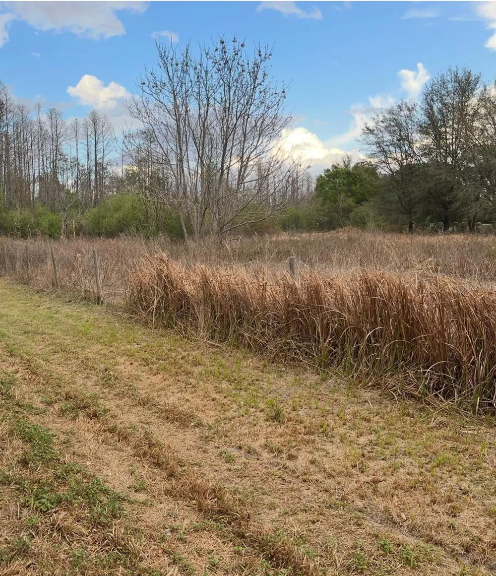 SR-33 Clermont, FL 34714