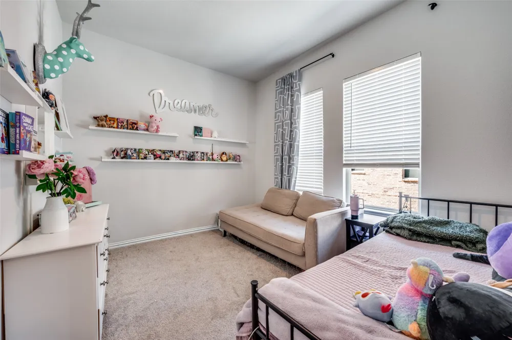 314 Colusa Drive Lewisville, TX 75056