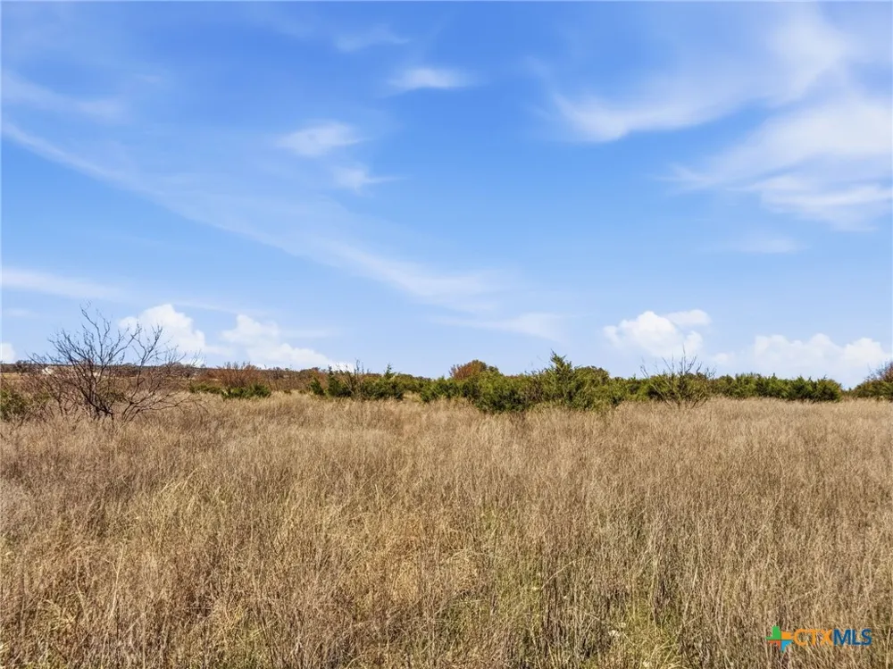 17 Pr 4218 Evant, TX 76525