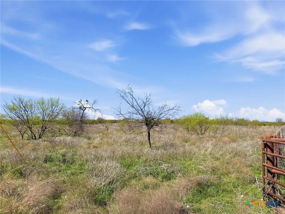 17 Pr 4218 Evant, TX 76525