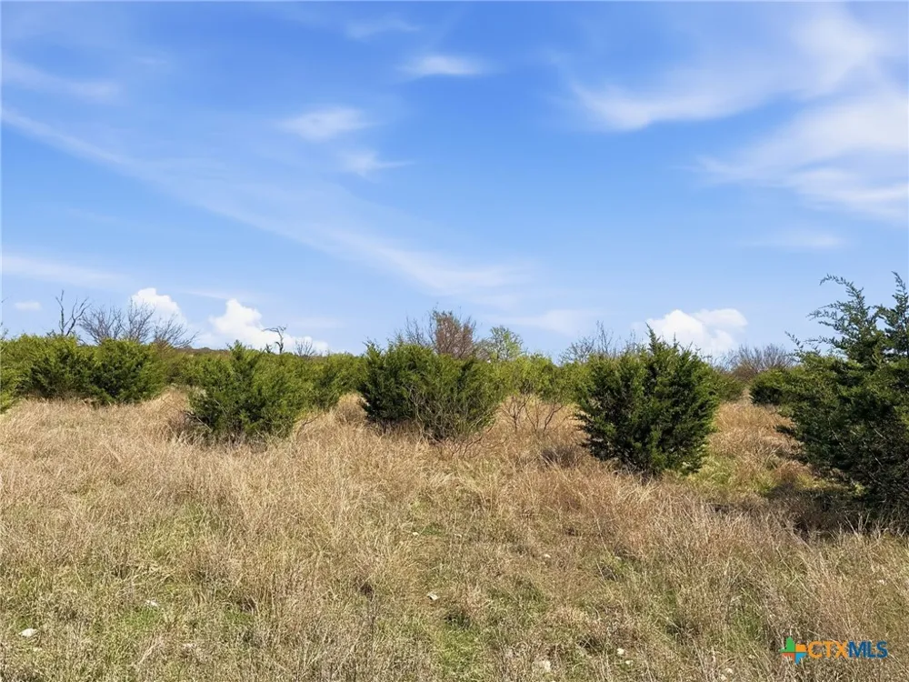 17 Pr 4218 Evant, TX 76525