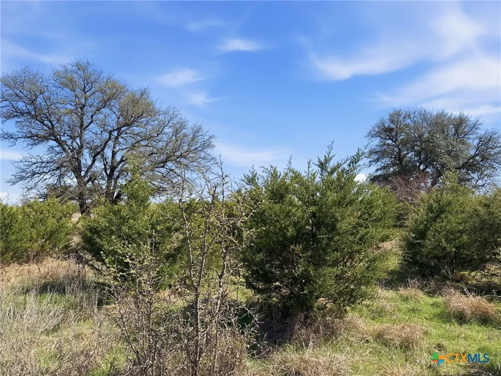 17 Pr 4218 Evant, TX 76525