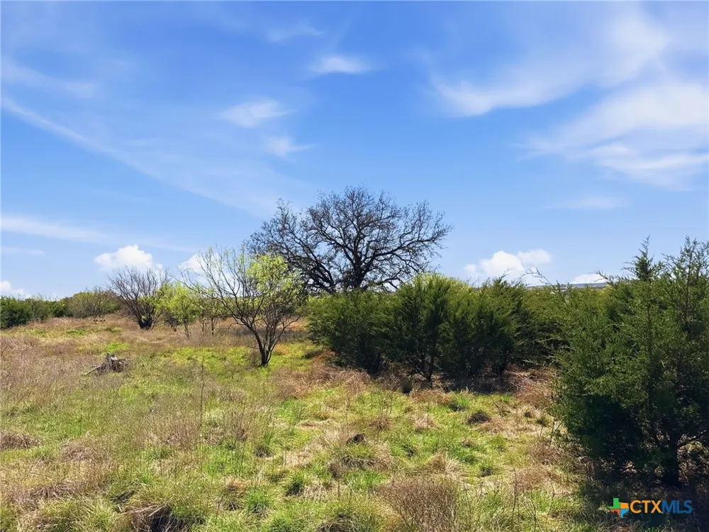 17 Pr 4218 Evant, TX 76525