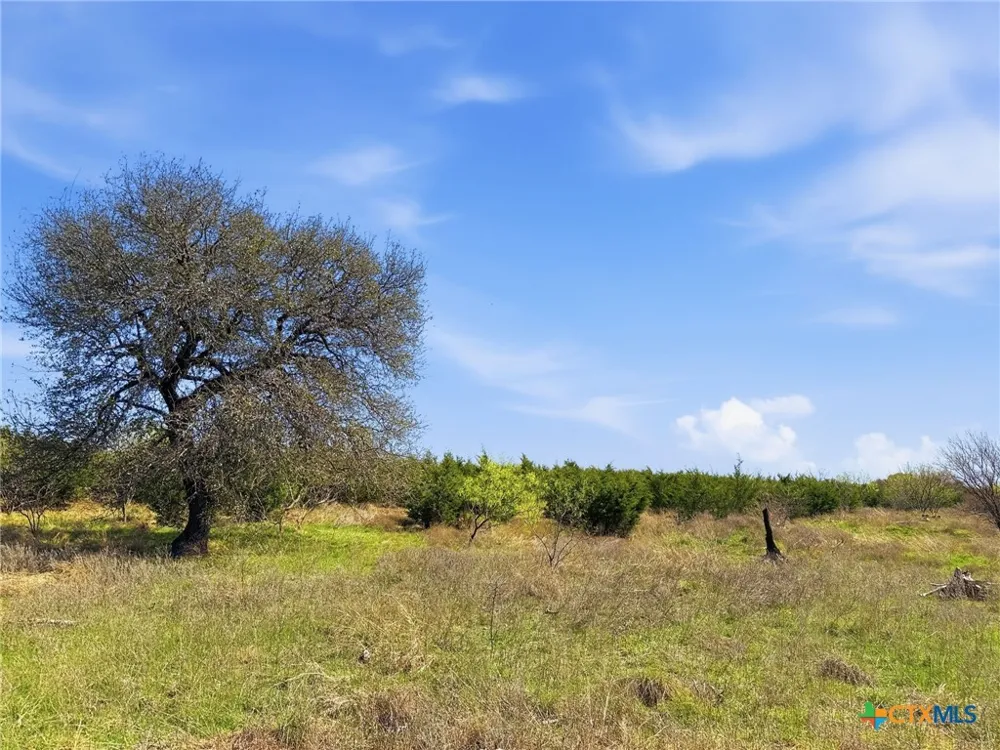 17 Pr 4218 Evant, TX 76525