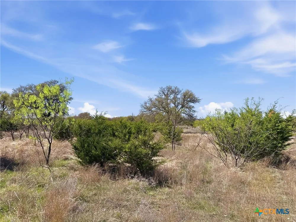 17 Pr 4218 Evant, TX 76525