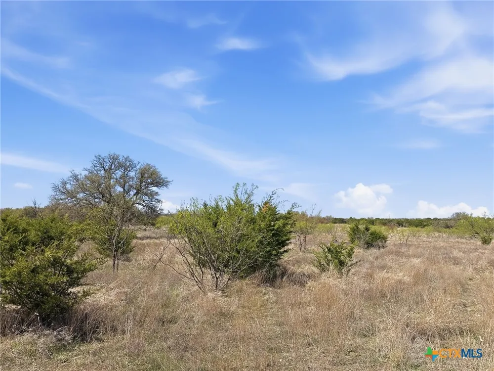 17 Pr 4218 Evant, TX 76525