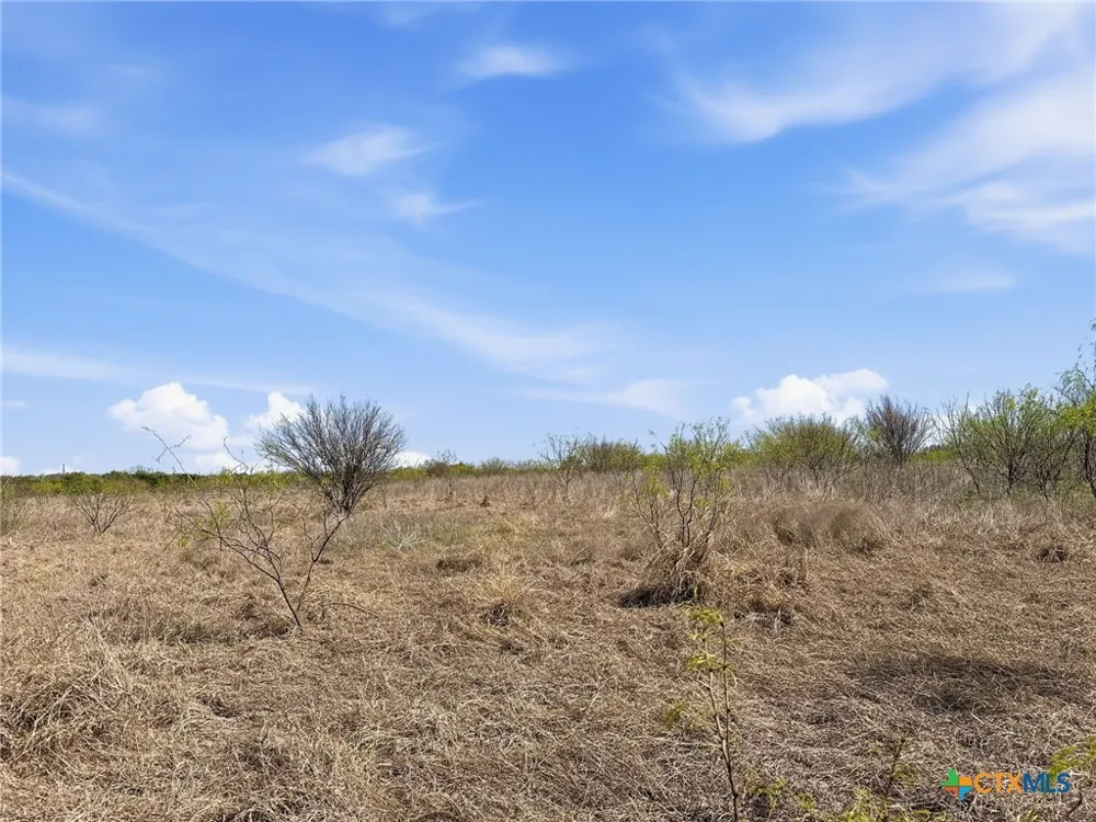 17 Pr 4218 Evant, TX 76525