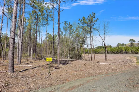 664 Piney Creek Estates Road