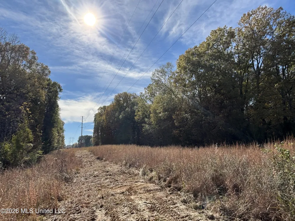 E U.S. 49 Bentonia, MS 39040