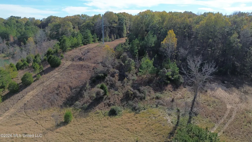 E U.S. 49 Bentonia, MS 39040