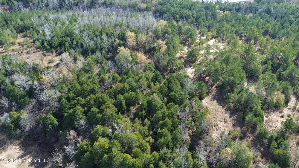 E U.S. 49 Bentonia, MS 39040
