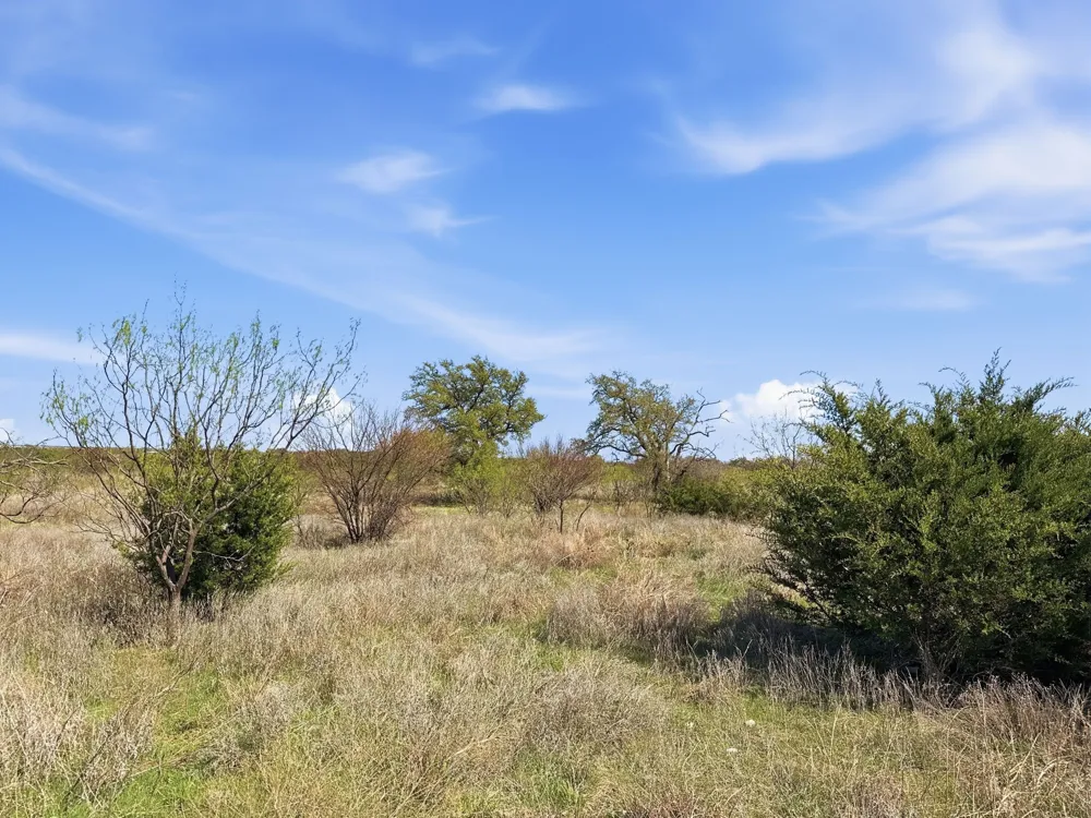 Pr 4218 Evant, TX 76525