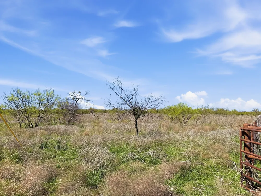 Pr 4218 Evant, TX 76525