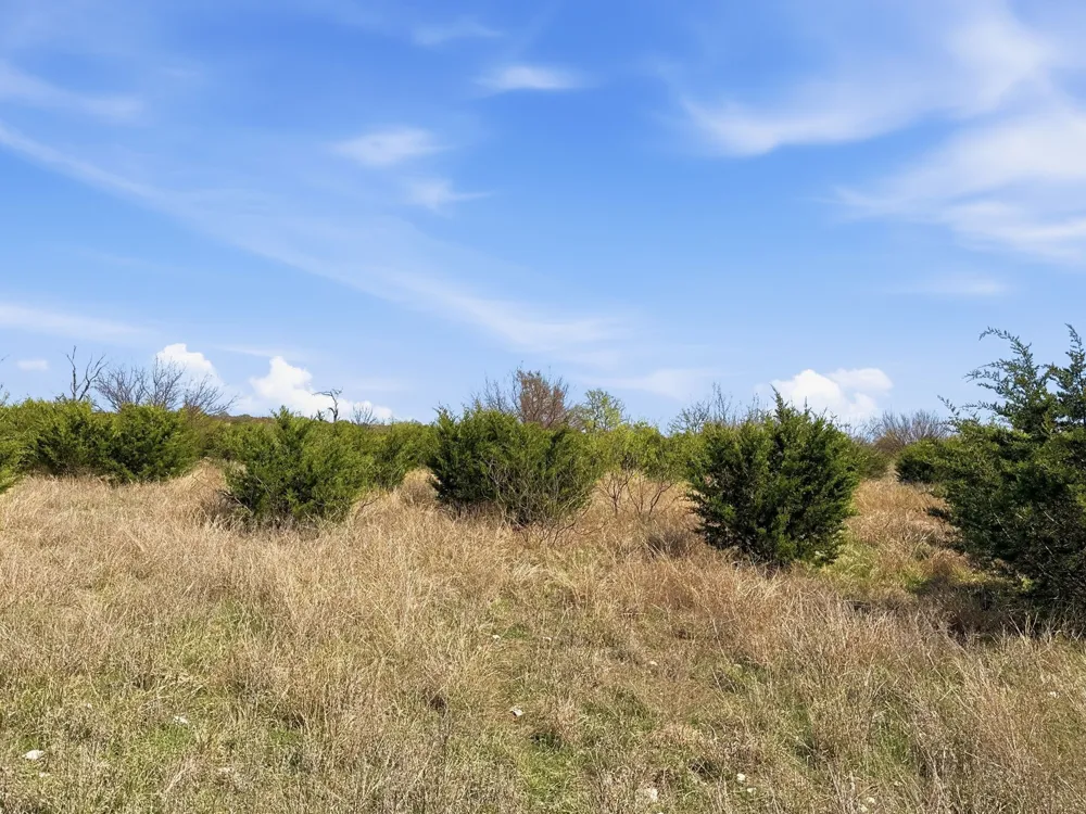 Pr 4218 Evant, TX 76525