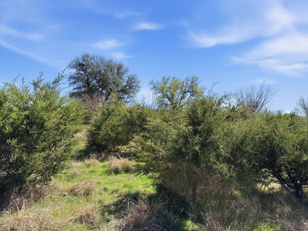 Pr 4218 Evant, TX 76525