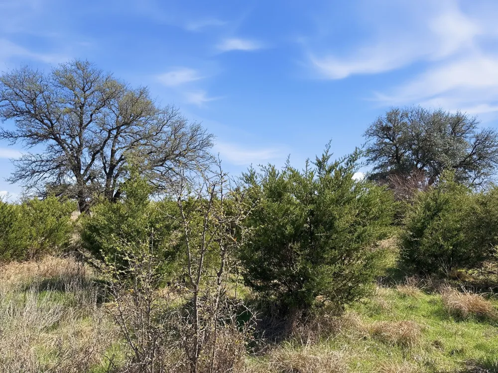 Pr 4218 Evant, TX 76525