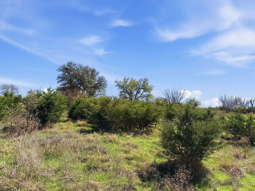 Pr 4218 Evant, TX 76525