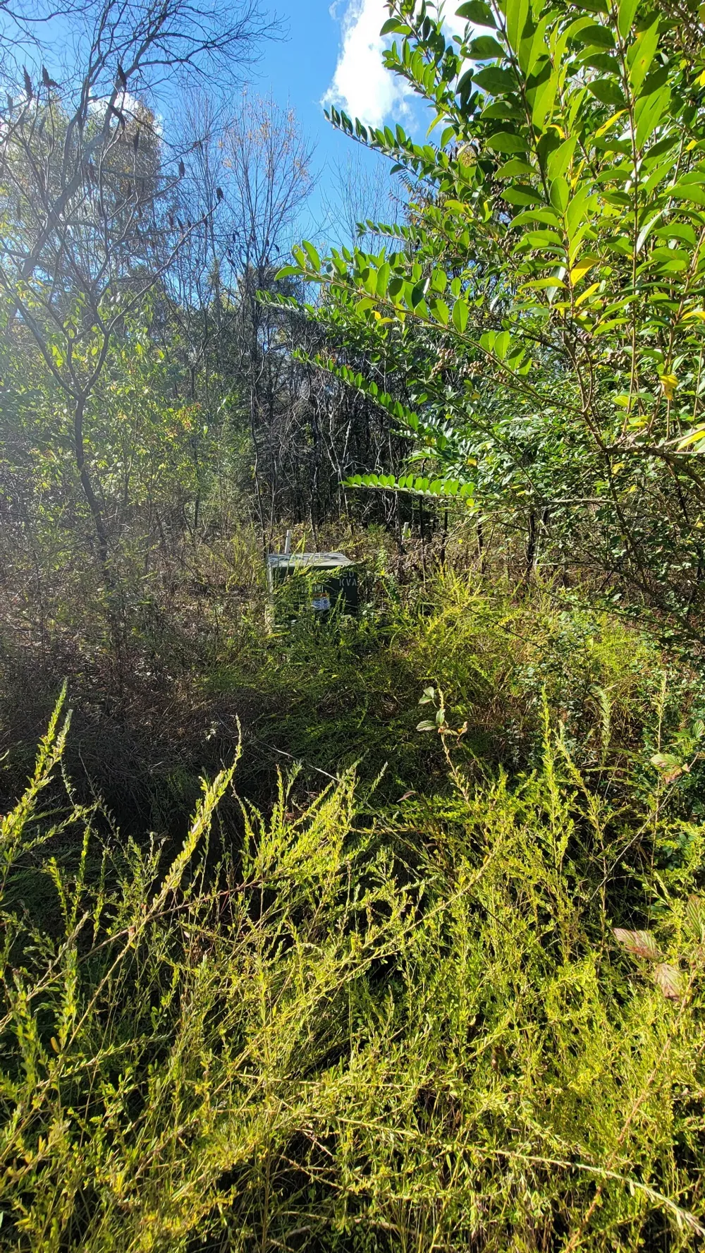 0 Briana Rd Lebanon, TN 37087