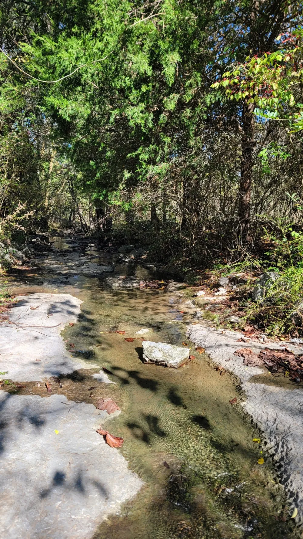 0 Briana Rd Lebanon, TN 37087